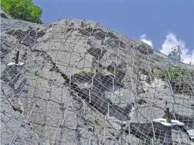 絞索網(wǎng)、蜘蛛網(wǎng)